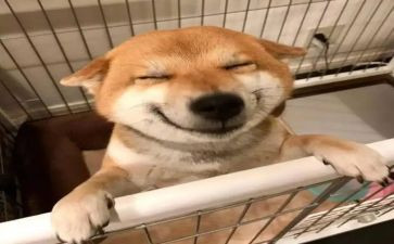 退音乐申请书5篇
