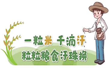 粮食节倡议书推荐6篇