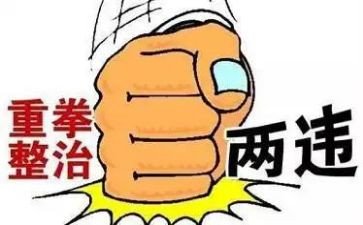 2024两违工作个人年终总结优秀8篇