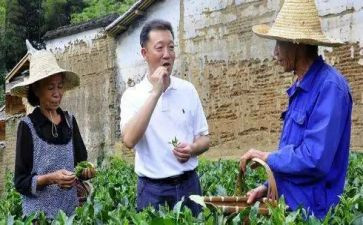 教师廖俊波的心得体会6篇