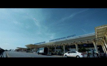 教师领导述职报告8篇