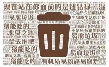 论垃圾分类的心得体会通用6篇