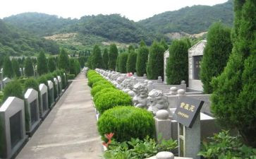 清明烈士陵园扫墓作文8篇