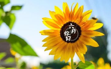 2024幼儿园六月份工作计划推荐6篇