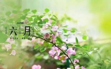 2024幼儿园六月份月计划模板7篇