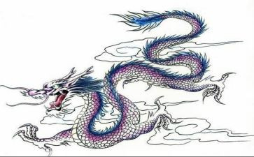 龙的故事作文最新8篇