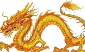 龙的故事作文推荐5篇