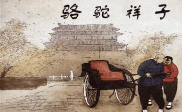 读骆驼祥子读后感600字8篇