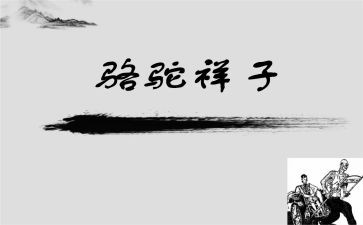 卖骆驼读后感200字7篇