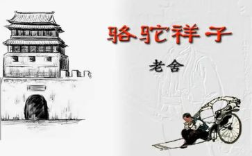 读骆驼祥子读后感600字参考6篇