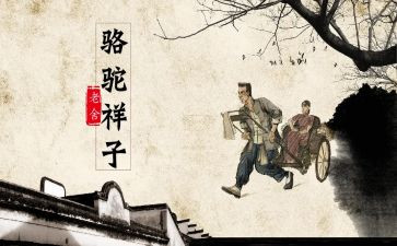 读骆驼祥子心得体会800字8篇