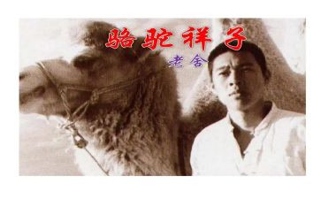 骆驼徉子读后感通用6篇