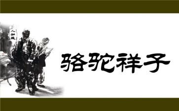 骆驼祥子读后感800字参考5篇