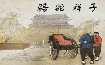 读骆驼祥子读后感600字精选7篇