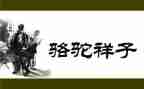 读骆驼祥子读后感600字最新8篇