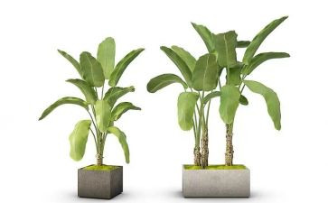 绿化合同优秀8篇