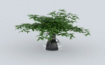 绿化合同最新6篇
