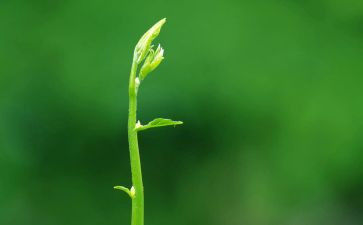 绿色环保健康心得体会5篇