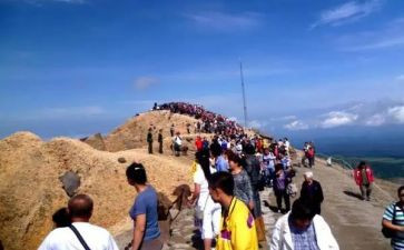 旅游管理自我鉴定最新8篇