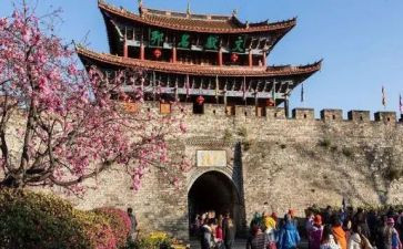 旅游管理自我鉴定精选8篇