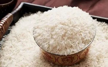 卖米读后感5篇