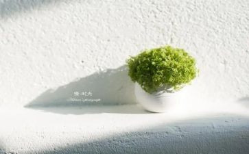 慢病证工作计划8篇