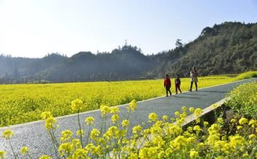 教学勇气漫步教师心灵读后感1000字5篇