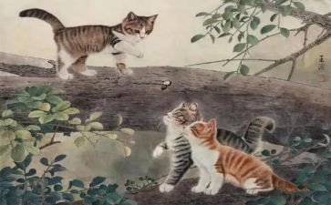 四年级猫教案5篇