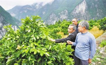 毛相林事迹心得体会5篇