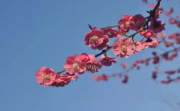 丁立梅《爱》的读后感6篇