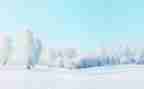 冬天的雪作文600字优质6篇