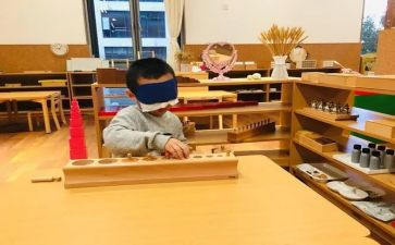 小班蒙氏数学教案模板6篇