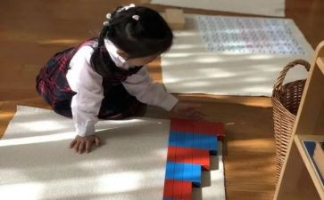 幼儿园小班蒙氏活动教案7篇