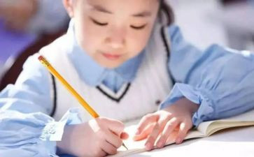 数字迷教学反思8篇
