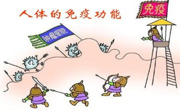 免疫工作年终总结7篇