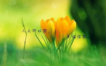 《中外名人故事》读后感精选5篇