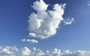 明天的路作文8篇
