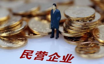 涉民营企业调研报告5篇