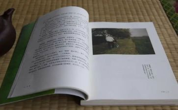目送读后感1000字8篇