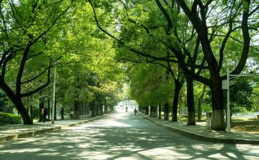 回高中母校演讲稿6篇