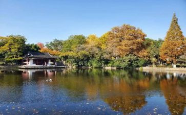 南京南京心得体会800字5篇