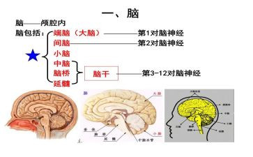 采购电脑合同的模板5篇