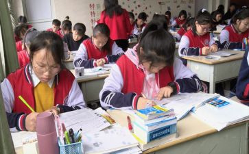 小学一年级教学总结范文6篇