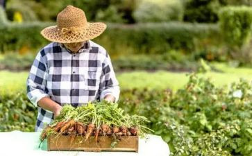 农夫和蛇的读后感7篇