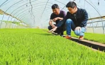 基层农技培训总结7篇