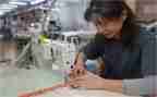 党对女工工作计划6篇