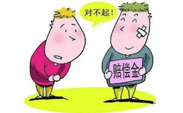 赔偿申请书8篇