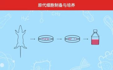 被培养教师的心得体会5篇