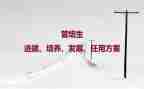 培养小学生阅读的心得体会8篇