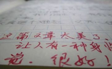 带评语的读后感5篇